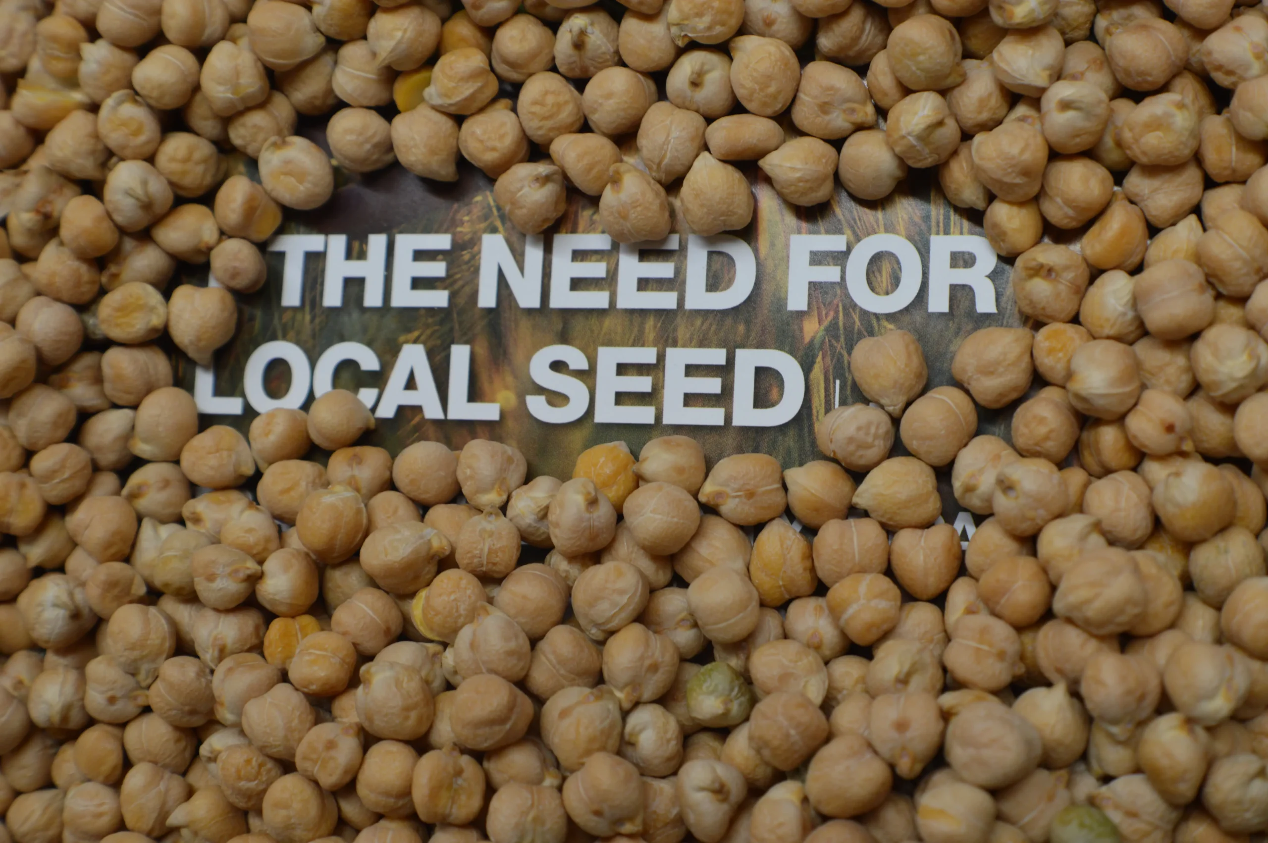 ORKNEY-CHICKPEAS