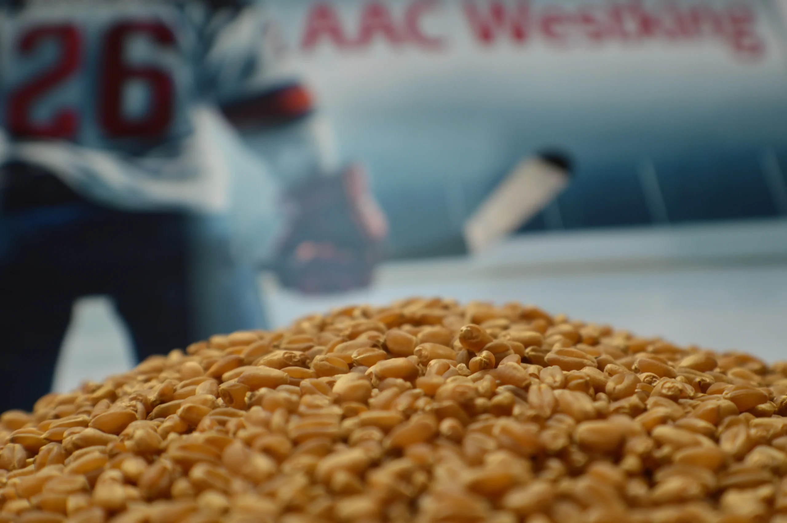 WESTKING-CWRS-WHEAT